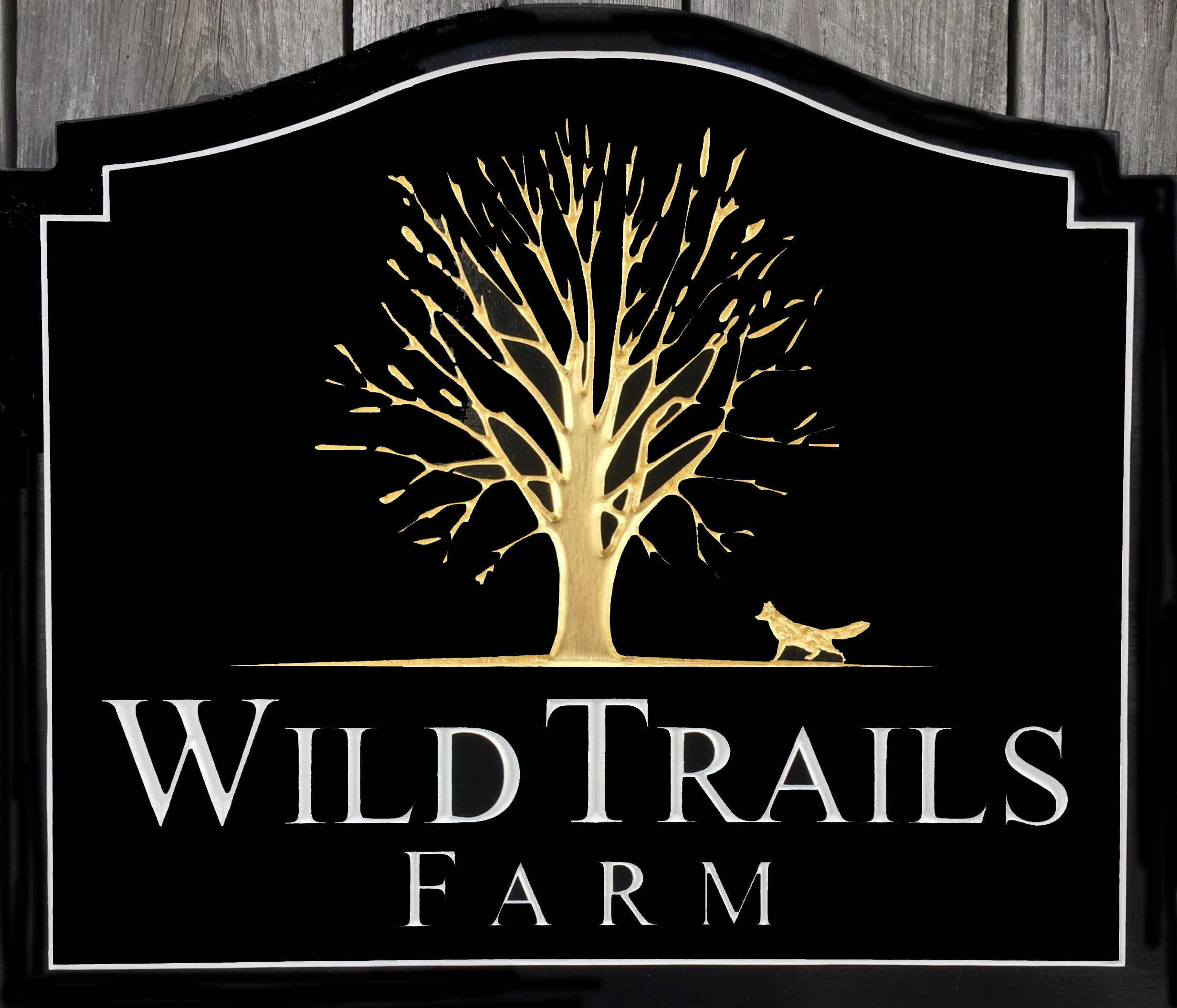 Wild Trails Farm 