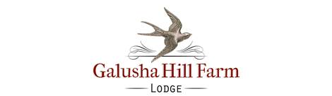 Galusha Hill Farm Lodge